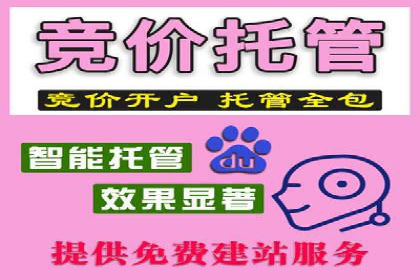 案例分享：SEM投放助力企业品牌知名度